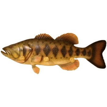 Fish 3 Peg Coat Hook