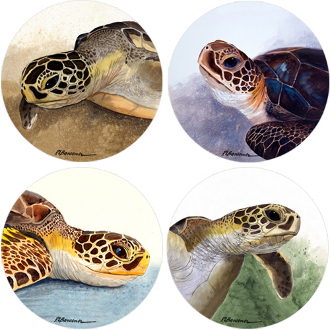 Sea Turtles Stone Coasters