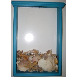 Seashell Collector Display Box