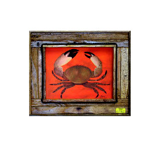 Colossal Claws Framed Art Print