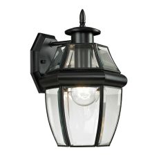 Ashford 1 Light Exterior Coach Lantern In Black