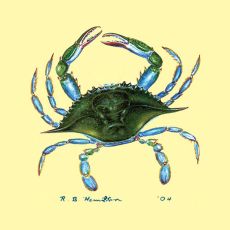 Blue Crab Coaster Set Of 4