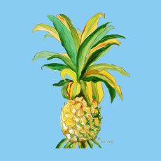 Pineapple Coaster Set Of 4
