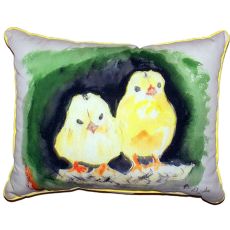 Chicks Large Indoor/Outdoor Pillow 16X20