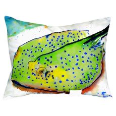 Stingray No Cord Pillow 16X20