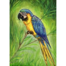 Blue Macaw Outdoor Wall Hanging 24X30