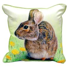 Rabbit Extra Large Zippered Pillow 22X22