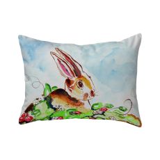 Jack Rabbit Right No Cord Pillow 16X20
