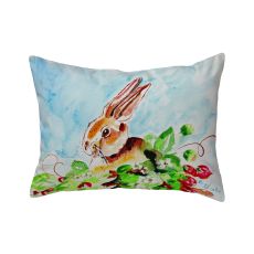 Jack Rabbit Left No Cord Pillow 16X20