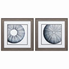 Sea Urchin Set of 2 Framed Beach Wall Art
