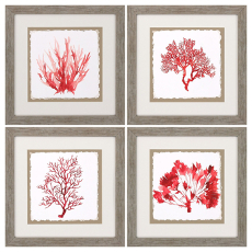 Red Coral Framed Art Set Of 4