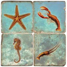 Sea Life Marble Coasters