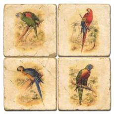 Parrot Coasters, Set Of 4