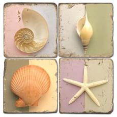 Shell Art Coasters  S/4
