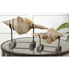 Conch Shell, Sculpture S/2
