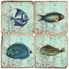 Fish Marble Coasters
