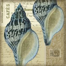 Indigo 3 Shell Wall Art