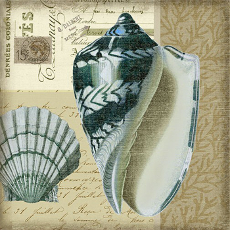 Indigo 4 Shell Wall Art