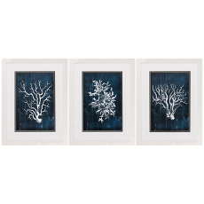 Wood Coral Blue Framed Art Set Of 3