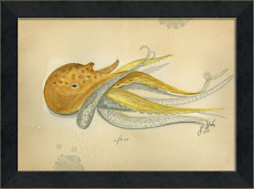 MI Ocean Octopus