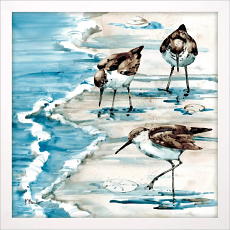 Rockhampton Sandpiper 30 H x 30 W x 01 D