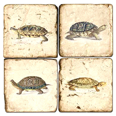 Turtle Coasters 