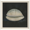 Seashell No2 Framed Art