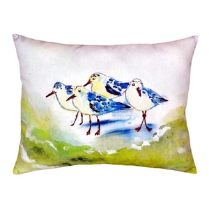 Green Sanderlings No Cord Pillow 16X20
