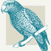 Birds of Paradise Art