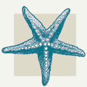 Starfish Decor