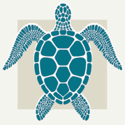 Sea Turtle Decor