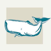 Whale Decorations