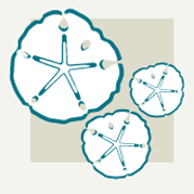 Sand Dollar Decor