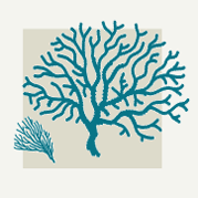 Coral Home Decor