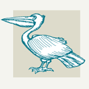 Sea Birds Decor