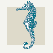 Seahorse Decor