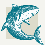 Shark Decorations
