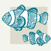 Fish Decor