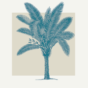 Palm Tree Decor