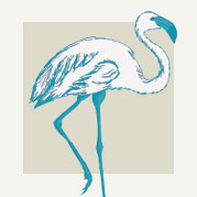 Tropical Pink Flamingo Decor