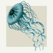 Jellyfish Room Decor