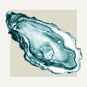 Oyster Shell Decor