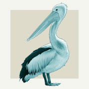 Pelican Home Decor