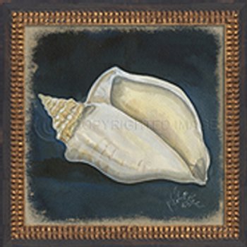Seashell No4 Framed Art