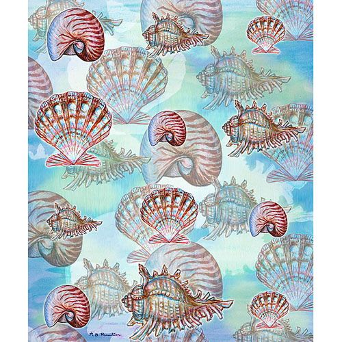 Assorted Shells Throw