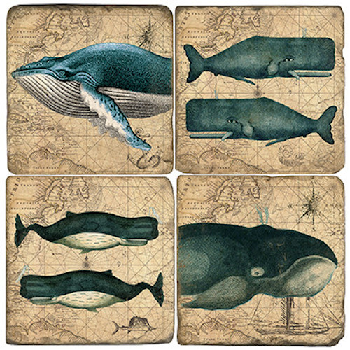 The Whale Coasters Set Of 4