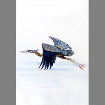 Heron In Flight Designer Flag