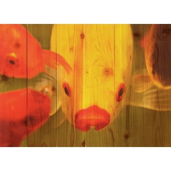 Fish Lips Wood  Art