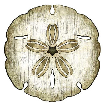 Sand Dollar Wall Art