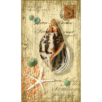 Spiral Shell Wall Art